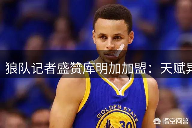 狼队记者盛赞库明加加盟：天赋异禀新援补强关键位置