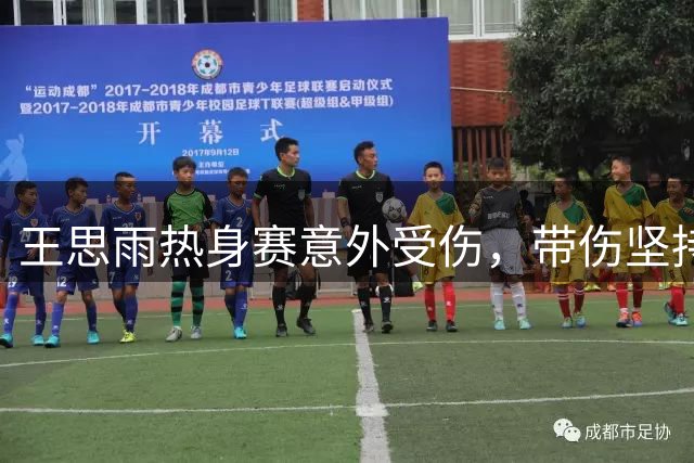 王思雨热身赛意外受伤，带伤坚持备战国际赛事